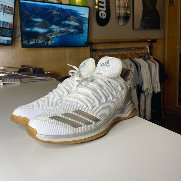 Adidas Icon Trainer Men's 11 White Silver CG5274